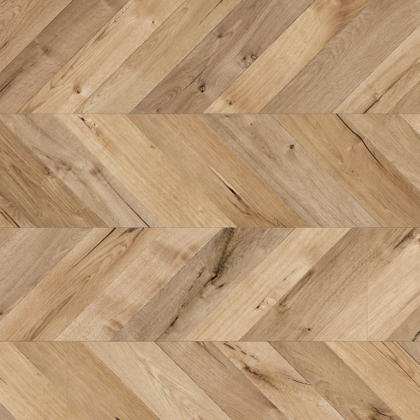 Untitled design - 2026-02-09T000524.212