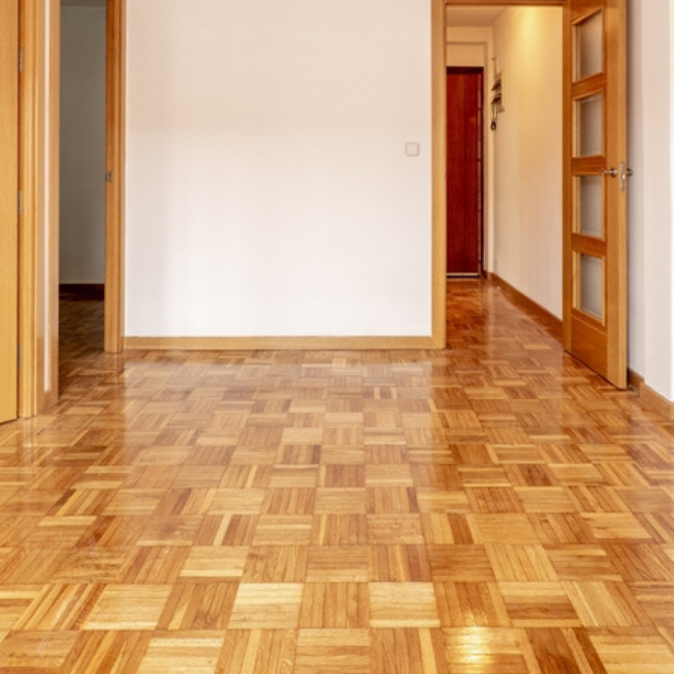 Untitled design - 2026-02-09T000818.010