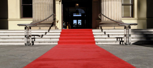 EXHIBITION CARPET - Image 2