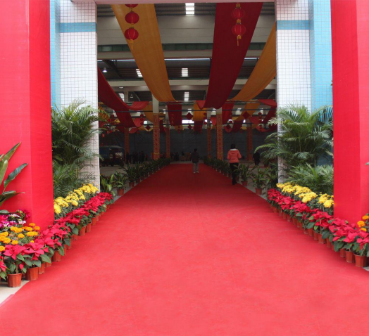EXHIBITION CARPET